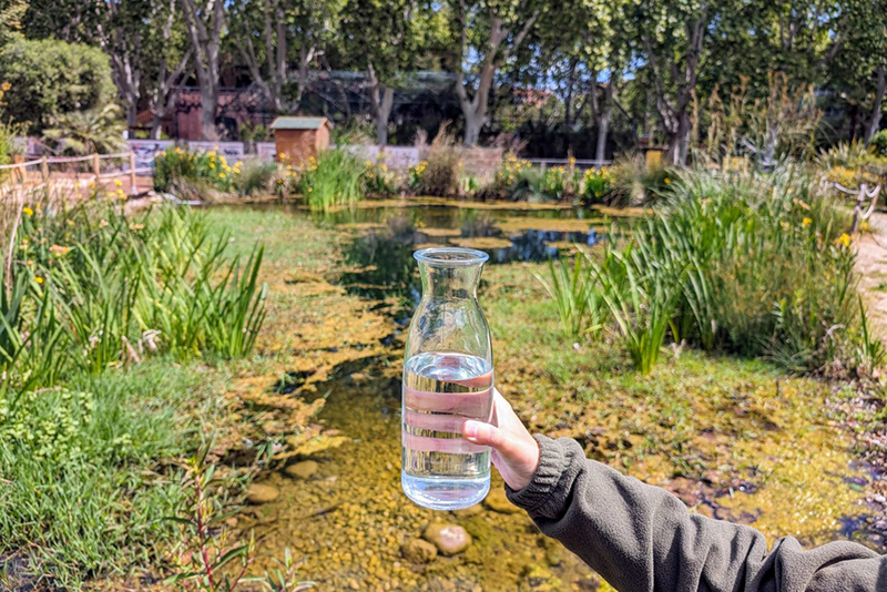 Water-Management
